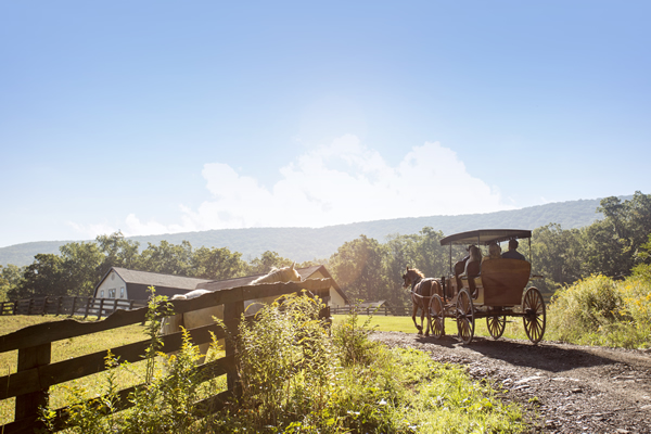 Carriage Ride at Omni Homestead Resort in Hot Springs, VA