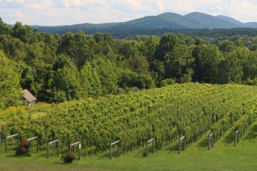 Virginia Wine Country