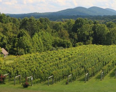 Virginia Wine Country