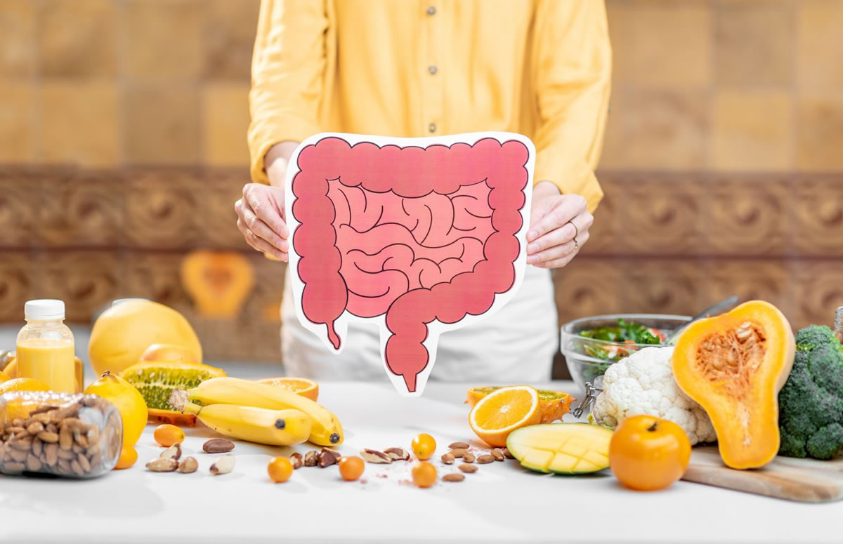 A woman holding a diagram of the digestive system. 